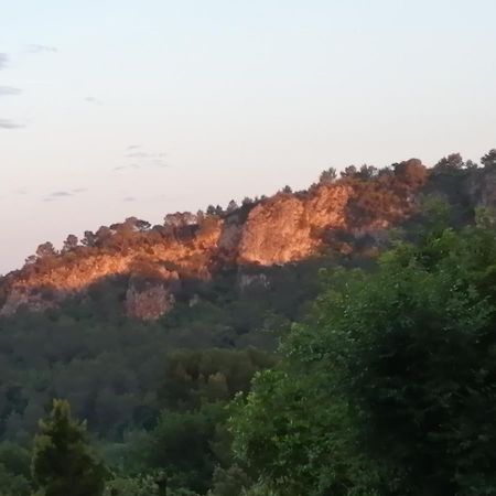 L' Oree Du Val Sillans-la-Cascade Exterior foto